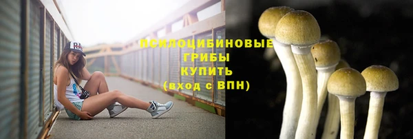 apvp Володарск