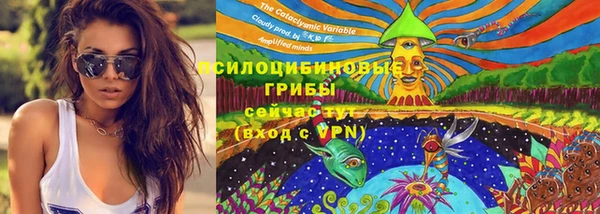 apvp Володарск