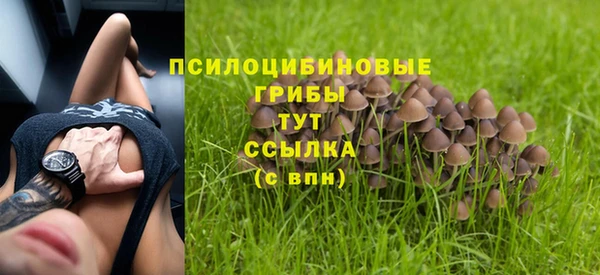 гидра Волоколамск