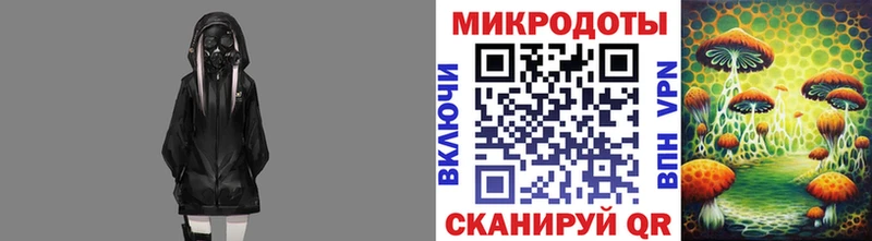 Купить где  Ликино-Дулёво  Галлюциногенные грибы мицелий 